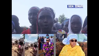 Bœufs, riz,sucre, huile d'Aida Diallo : Ngabou manifeste contre une délocalisation du magal à Mbour