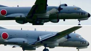 Let's compare YS-11EB and YS-11EA!!  [JASDF] Japan Air Self-Defense Force