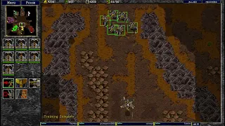 Warcraft 2 All You Need 4v4