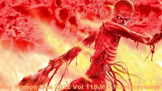 Psy Trance Goa 2022 Vol 116 Mix Master volume