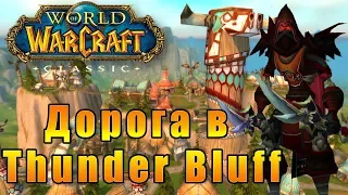 Дорога в Thunder Bluff - World of Warcraft Classic #19