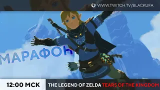 Северный лабиринт. The Legend of Zelda: Tears of the Kingdom #10