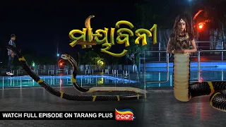 Mayabini | Ep 16 | 3rd Nov 2022 | Watch Full Episode Now On Tarang Plus