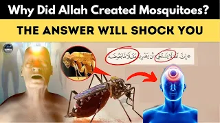 Why Did Allah Create Mosquitoes? The Answer Will Shock You "Miracle of the Quran"