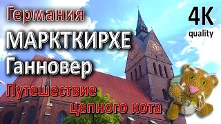 Маркткирхе Ганновер. Рыночная церковь. Путешествие цепного кота