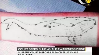 Court seeks Blue Whale awareness drive