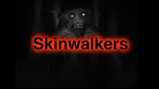 Skinwalkers and shamanism