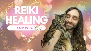 Reiki Healing for Pets | ASMR