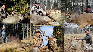 Trophy Whitetail Deer Hunting with AWGS in Alberta, Canada - 6 for 6