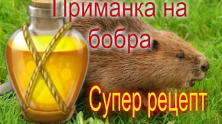 Приманка на бобра, конкретно, подробно, лучший рецепт.