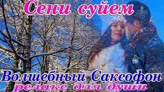 Сени Суейм Волшебная Музыка Любви Зимний Саксофон