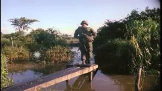 Soldiers walk through the fields and villages during Operation Hump of the Vietna...HD Stock Footage