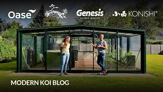 Modern Koi Blog #6353 - Dieses Glashaus bauten Janine und Remi für ihre Hobbykoizucht