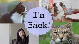 I'M BACK with a Vlog! | Hamster HorsesandCats