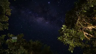 4K HDR Nature Evening Timelapse: Relaxation & Meditation for your Soul