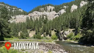 Fly Fishing a REMOTE Montana Stream with 6 DIFFERENT Species (Backcountry Grand-Slam!)