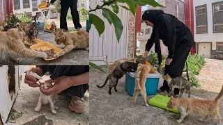 Cats will always love to meet a couple who is helping and trying to create hope.