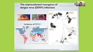 Infectious Diseases: In vivo imaging: Driving drug discovery by monitoring treatment response