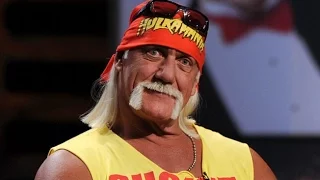 Hulk Hogan Racist Audio (2016 leak and transcript)