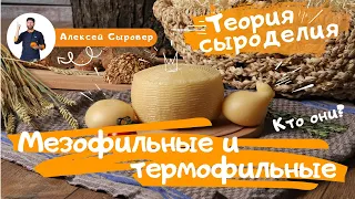 Мезофильные и термофильные.  Кто они?