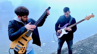 Faded by Alan Walker sounds MAJESTIC on two basses!