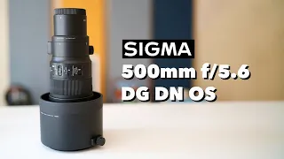 Review of the Sigma 500mm f/5.6 for E Mount on the Sony A7RV