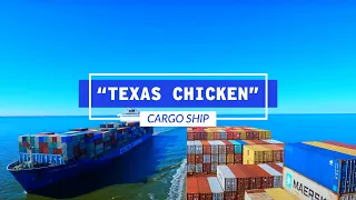 Cargo Ships Play Chicken In The Houston Ship Channel Time-Lapse | Life At Sea