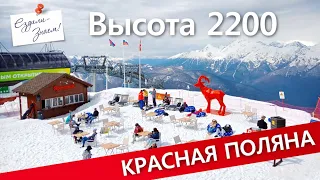 Красная Поляна, канатная дорога на пик Вершина 2200. Отдых в Сочи. Отзывы Ездили Знаем