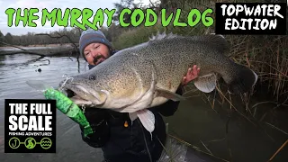 The Murray Cod Vlog | Topwater Edition | The Full Scale