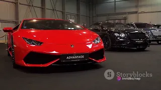 Unleashing the Beast  Lamborghini Aventador