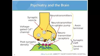 Abbott Technician Pharmacology Review