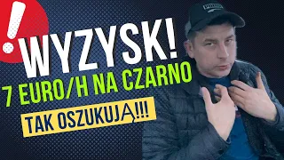 WYZYSK NA POLAKACH / EMIGRACJA UWAŻAJ!