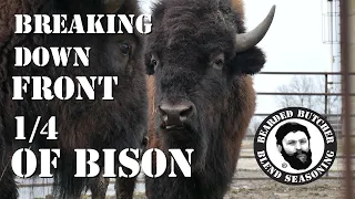 How to Cut a Front Quarter of Bison! (Part 1) by the Bearded Butchers