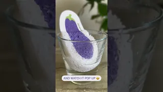 Eggplant Pop Up Sponge