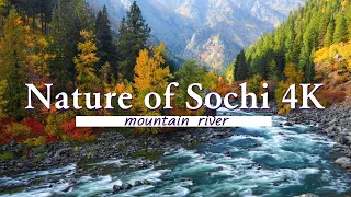 Nature of Sochi 4K is a Picturesque Relaxing movie with Soothing music. Flying over a mountain river