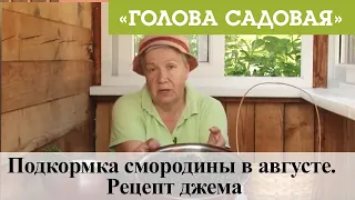 Голова садовая - Подкормка смородины в августе. Рецепт джема