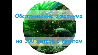Обслуживание аквариума на 100 литров с грунтом
