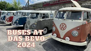 Buses at Das Bevo 2024