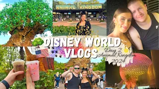 WALT DISNEY WORLD DAY 2 | ANIMAL KINGDOM, EPCOT & THE BOARDWALK AT NIGHT