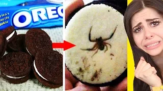 Shocking Things Found In Your Favorite Foods !