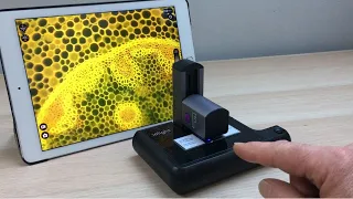 Portable Fluorescence Microscope - ioLight