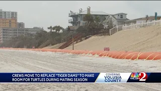 State removing temporary sea walls in favor of more environmentally-friendly solution