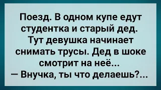 Студентка и Старый Дед в Купе! Сборник Свежих Веселых Анекдотов! Юмор!