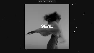 (FREE) Santiz x Jamik Type Beat - "Seal" | Лирический Минус Для Рэпа