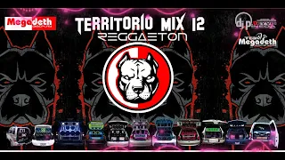 🔥CAR AUDIO🔥 Reggaetón Doble Tono (Territorio Mix 12)