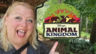 Disney's Animal Kingdom Adventure Vlog Thrilling Rides Wildlife Delicious Lunch Unforgettable Day