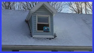 Scott the Woz throws a Wii U box out of his window (#1)