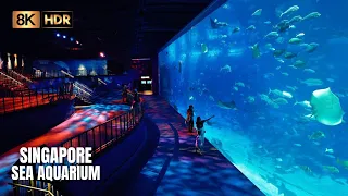 Largest Aquarium in Southeast Asia - Singapore SEA Aquarium (8K HDR)