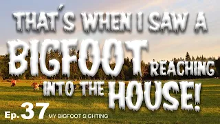 My Bigfoot Sighting Episode 37 - That's When I Saw a Bigfoot Reaching Into the House!