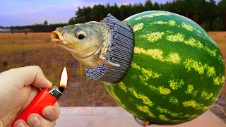 Experiment: 5000 Sparklers vs Fish in Watermelon